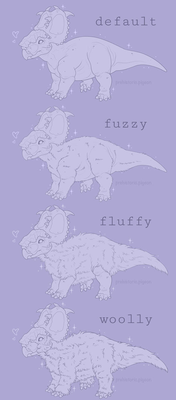 pachyrhino bases