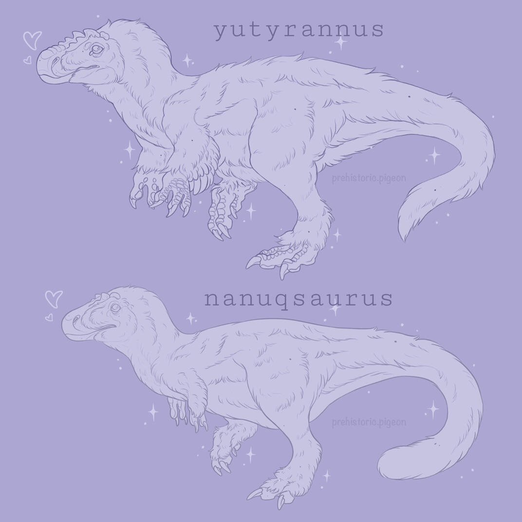 Yuty & nanuq base